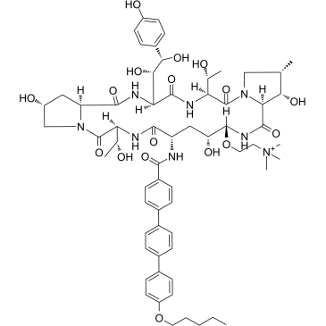 Rezafungin 1396640-59-7